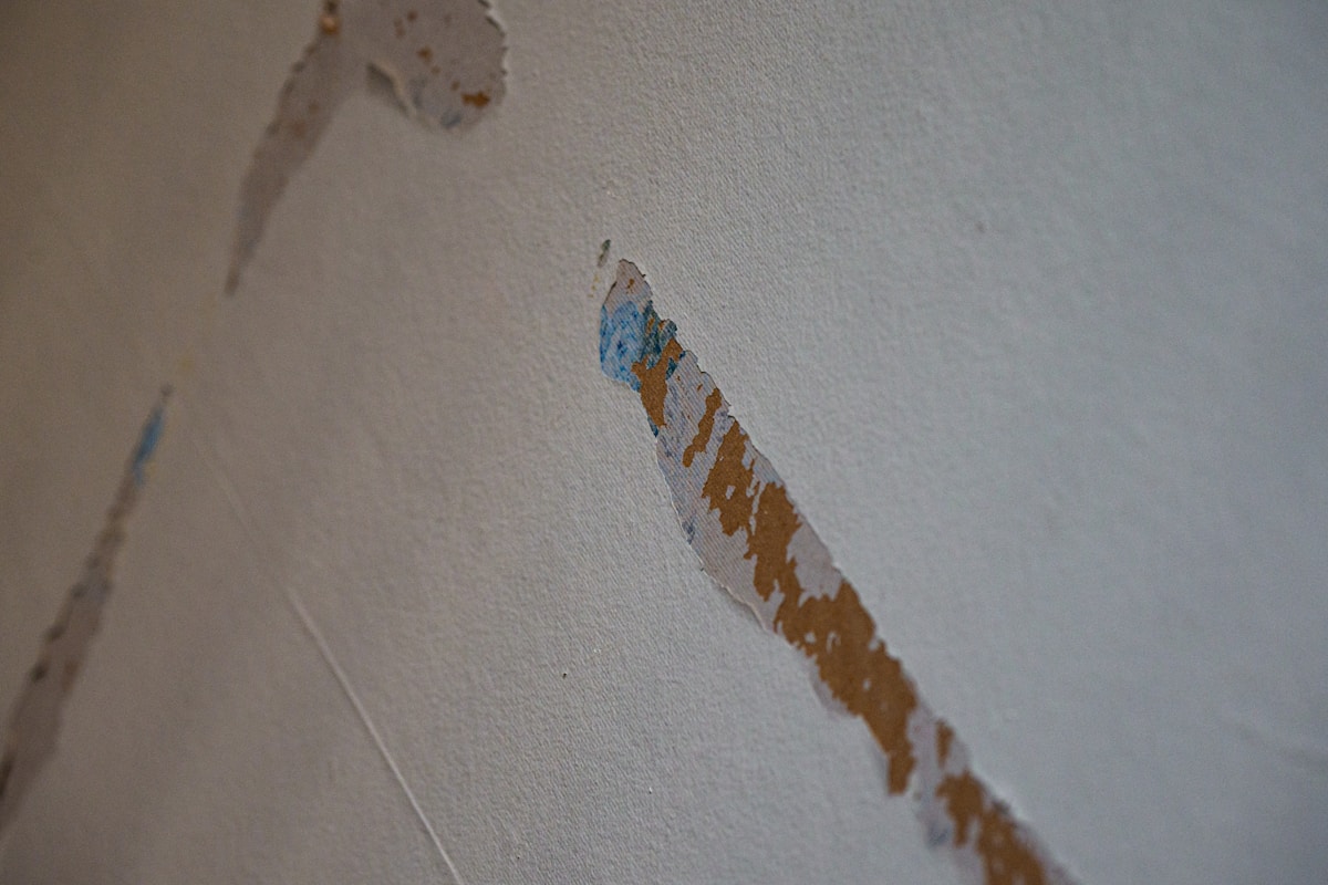 Storm Damage Repair service in San Tan Valley, AZ